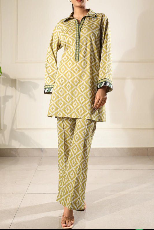 Saya 2 piece stitched printed co-ord set