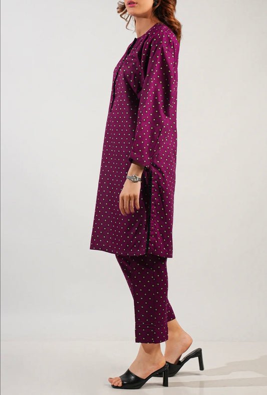 Saya 2 piece stitched printed set